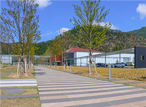 島根県立古代出雲歴史博物館